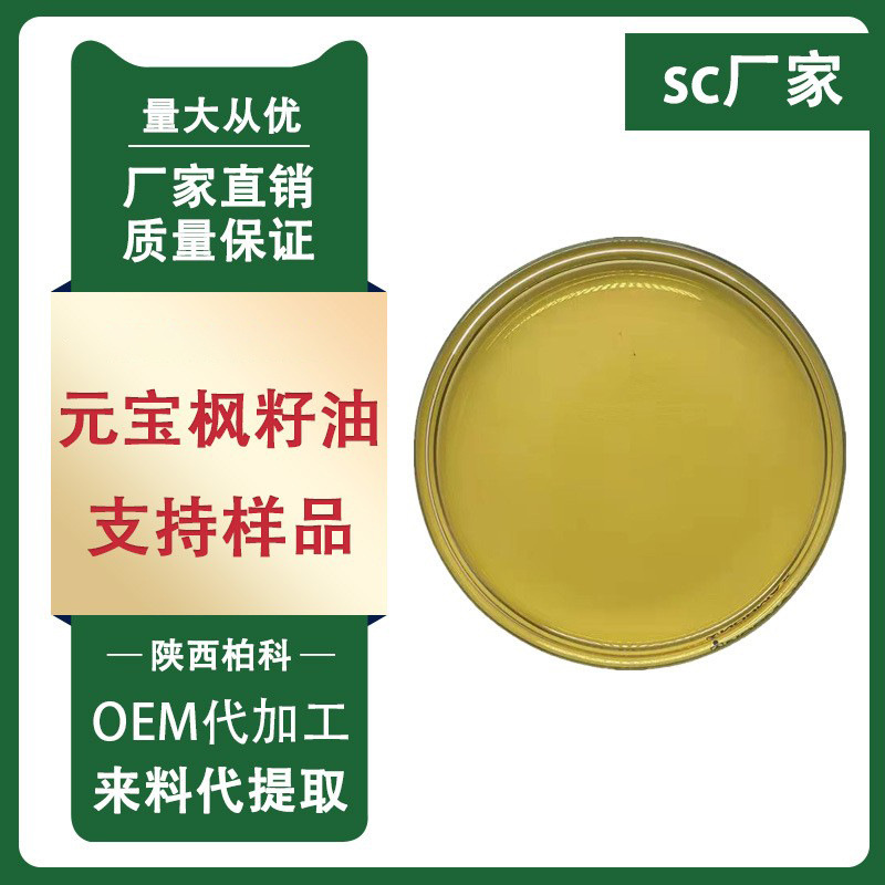 元宝枫籽油 5% 神经酸 元宝枫籽提取物 鲨鱼酸 柏科供应 现货包邮
