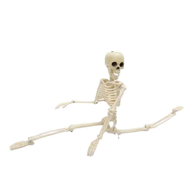 骷髅骨架 (7).jpg
