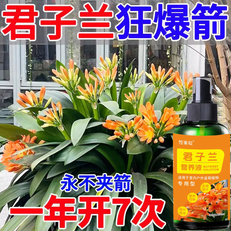 君子兰专用营养液缓释肥兰花有机复合肥料花卉盆栽促开花催花肥料