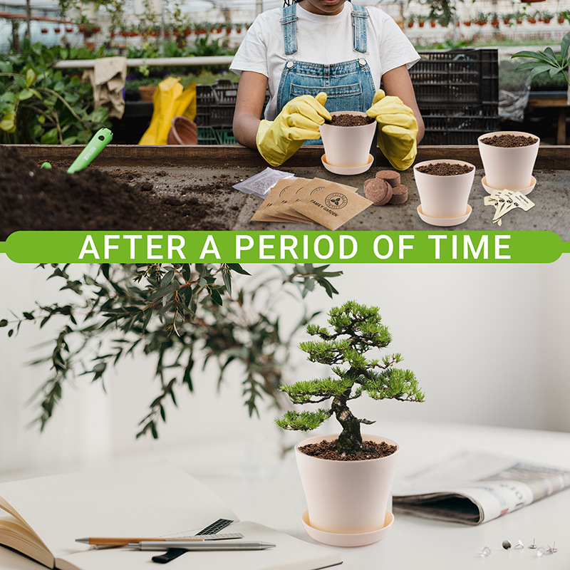 亚马逊室内植物种植套件跨境新手入门园艺生长套装创意花盆礼盒