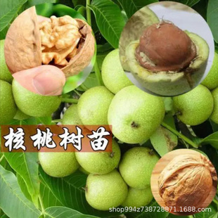 ������޽Ӻ��Ҙ��籡Ƥ���Ե��Ԯ���ӹ� �ϱ����NֲͥԺ������