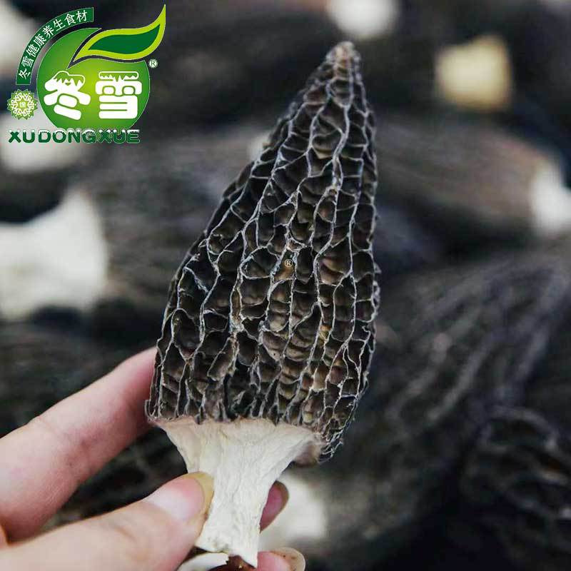 【精品六妹剪柄羊肚菌】直批食用菌食材一件代发淘宝货源诚招代理