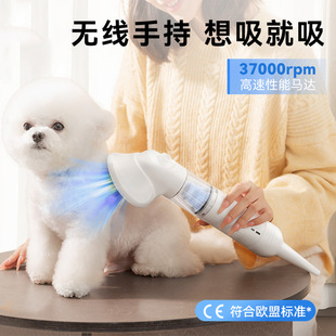Pet dog cat comb hair suction all-in-one machine bath drying small and medium-sized dog hair suction device cat hair suction artifact