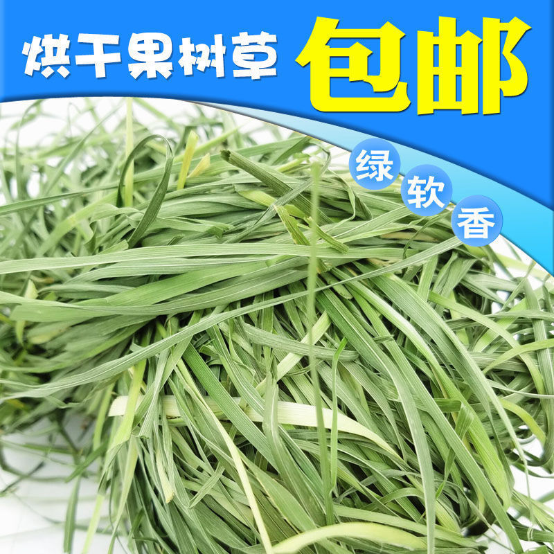 c233442b-21b6-4cc4-b72a-db576023bc18.jpe