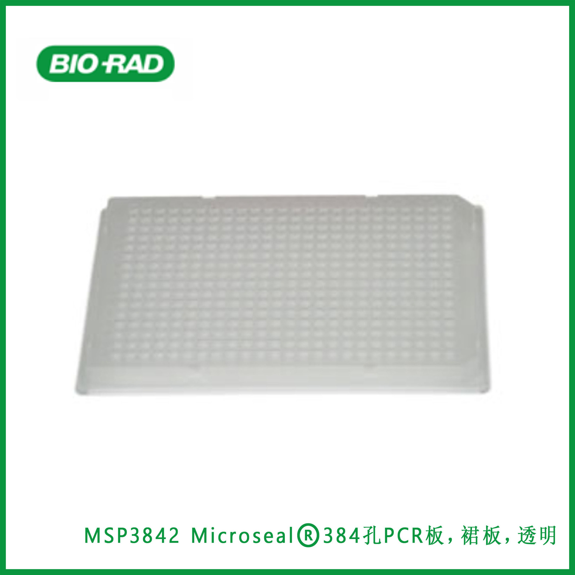 伯乐Bio-Rad  MSP3842  Microseal® 384孔PCR板，裙板，透明