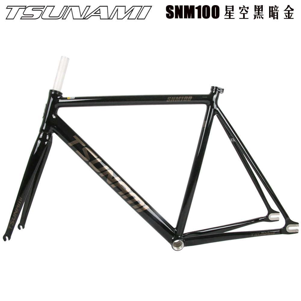 TSUNAMI Tsunami Summy SNM100 Pioneer Dead Flying Aluminum Alloy Racing Site Bicycle frame