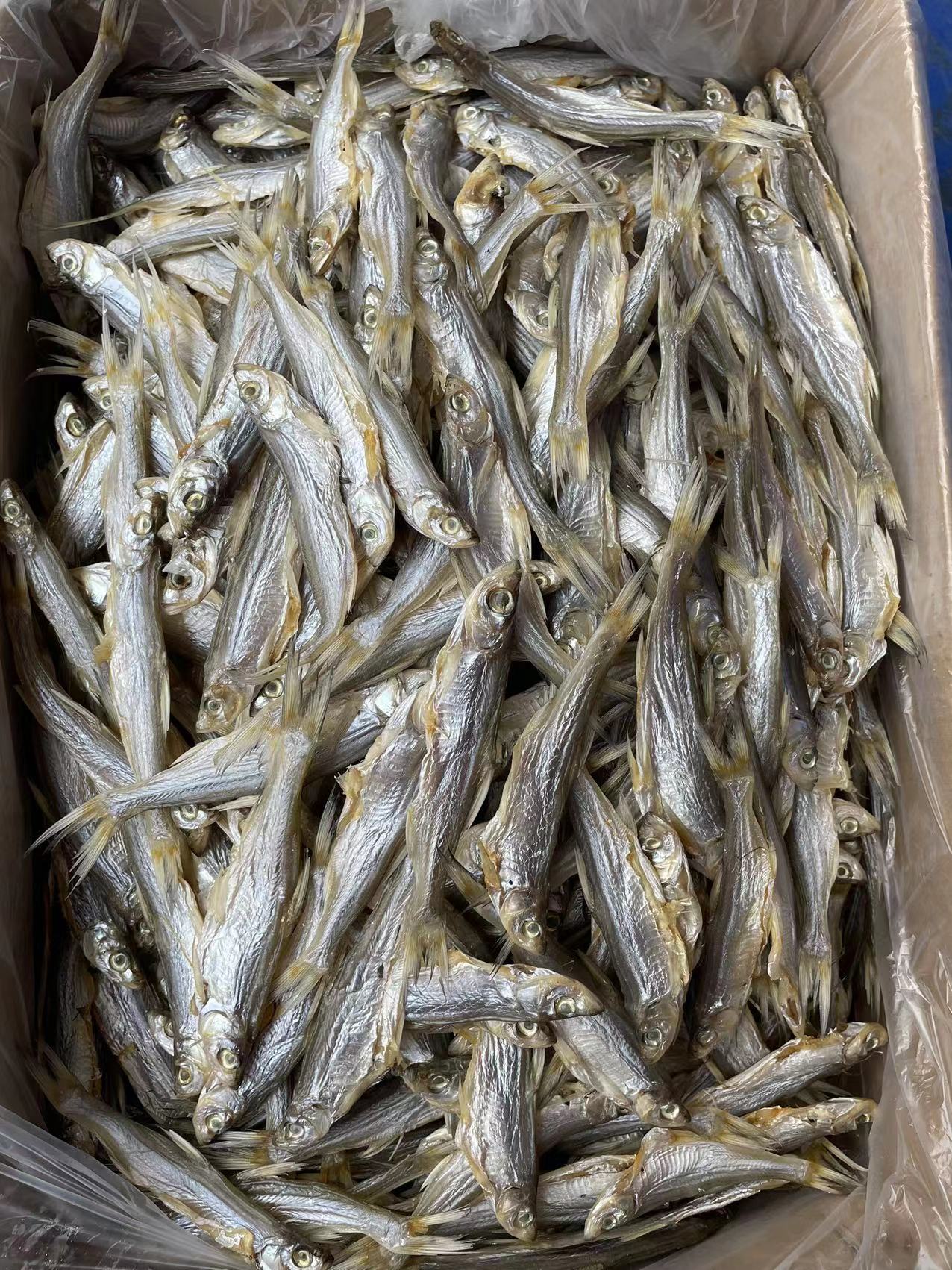 微信图片_20220703110514