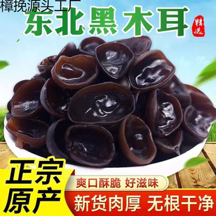 �|����ľ����؛�خaС�������L��ɽ�ľ��ľ�o����ľ��