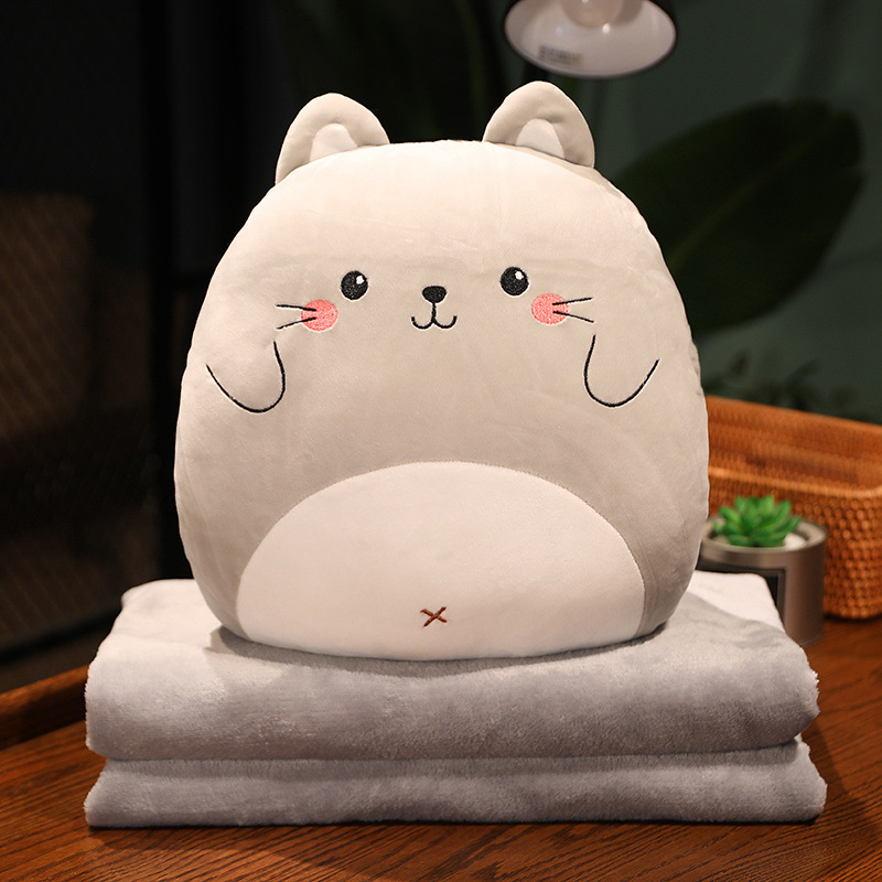고양이