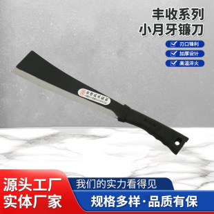 �S��؛Դ333�ܱ�СƬ�������񿳡����砵����ۯB砵��@�ֵ���