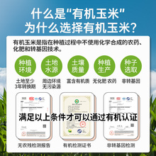 �����N����Ŵ���װ����r��հ��bܛ����ճ��Ŵ����