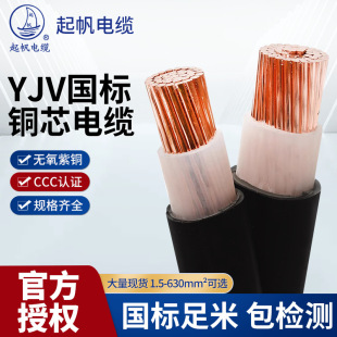 �𷫇�����|YJV��о10 16 25 35ƽ�����⿹�ϻ����~���~о��|��