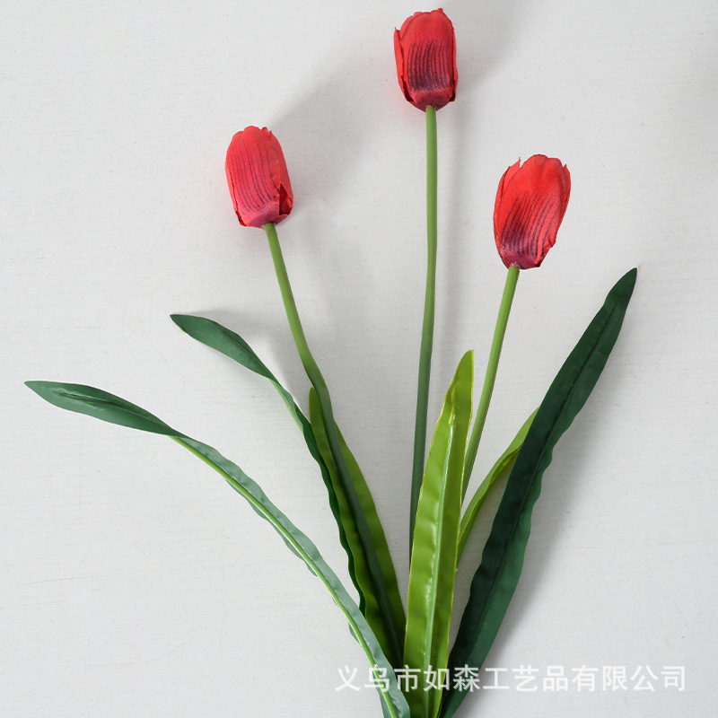 3 cabezas tulipán rojo