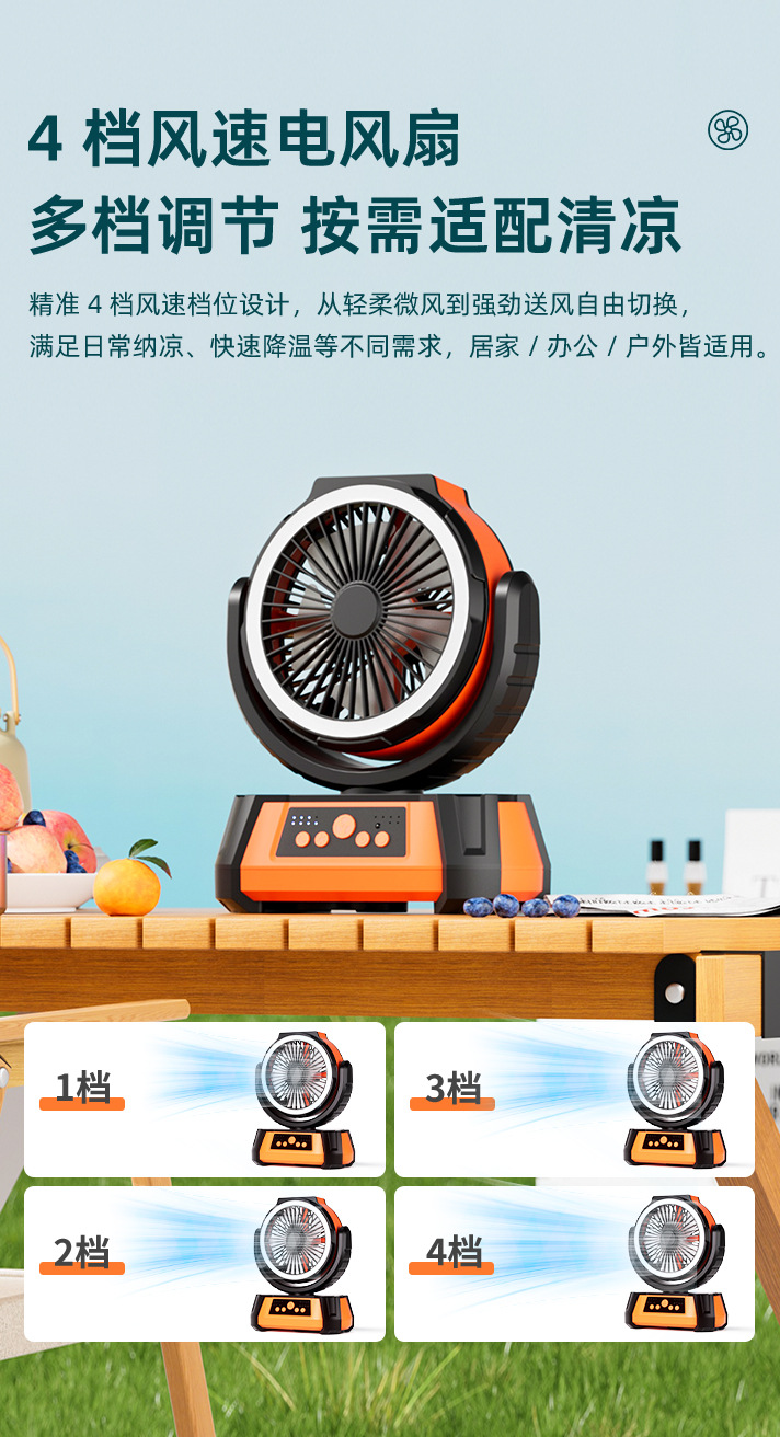 WD-281_06.jpg