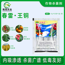 �����r ����ù�� ���~ �S��˪ù��������˪��ù�� �rș������ 30g