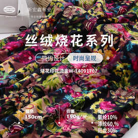 190g韩国绒烫金面料制定 不倒绒韩国绒女士旗袍时装丝绒布料