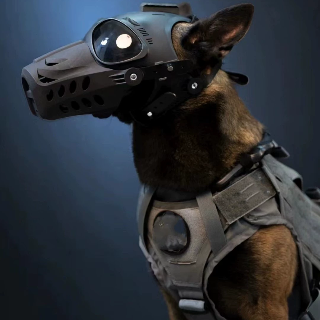 Domu Horse Dog использует черный тактический шлем для бунта