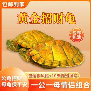 ���N�S������ؔ�������S������������^�p�������С����ˮ�����w