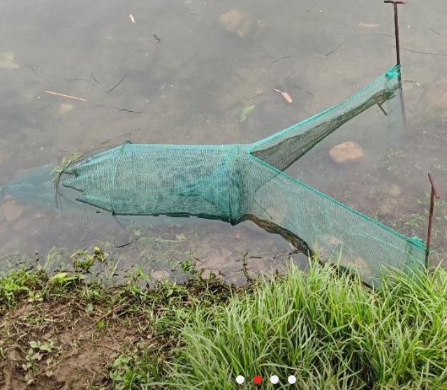 1 m de ancho 0,5 M cola 1 m