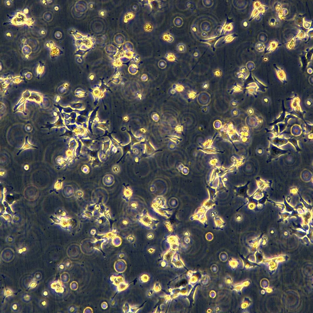 2025-11-04 15:10:24.jpg