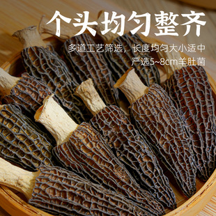 ��Ǿ����̱�����Ҝ��r���a������؛�خa�Ƀ�40g
