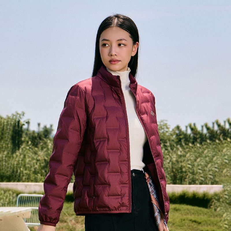 2025新款大牌平替轻薄羽绒服90白鸭绒日常休闲百搭立领羽绒内胆|undefined