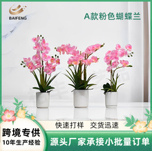 m[ҾbٻĔz߷Ի羳W