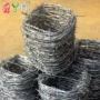 外贸机场刺绳镀锌丝