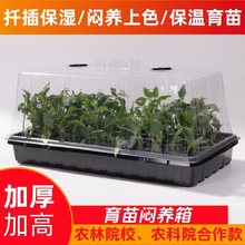 �Ӻ����琞�B��Ǥ���ѿ͸���w�Ӷ��␞�B���ر�������P��ů��