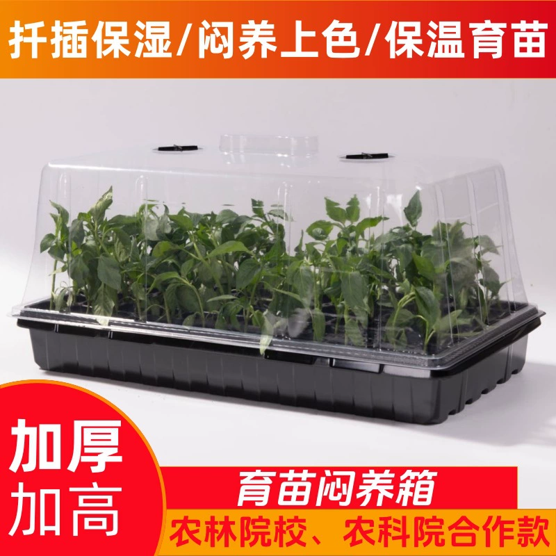Утолщенная коробка для инкубации рассады для черенков и проращивания, прозрачная крышка, коробка для инкубации суккулентов, теплоизоляционный и увлажняющий лоток для рассады, коробка для инкубации