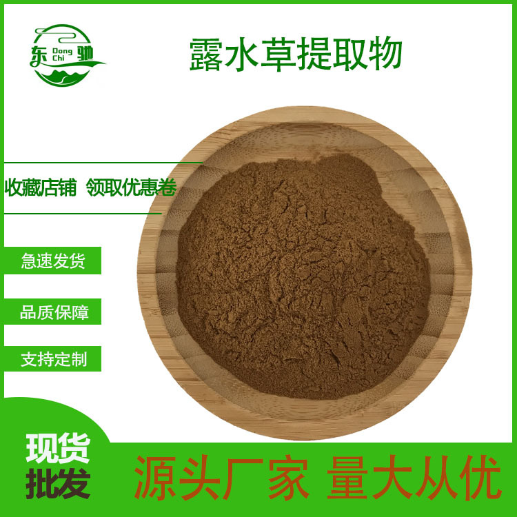 露水草提取物  东驰生物  现货供应 露水草提取物