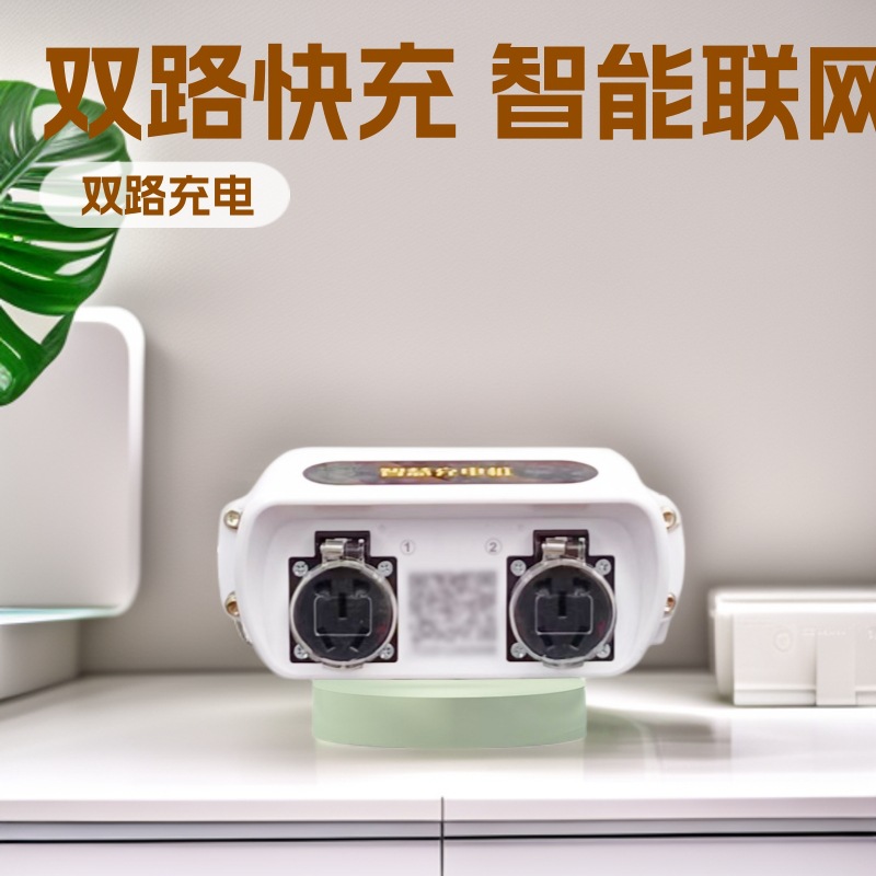 2·���ʵ綯������������С�������ֳ�˫·ɨ��ˢ�����׮