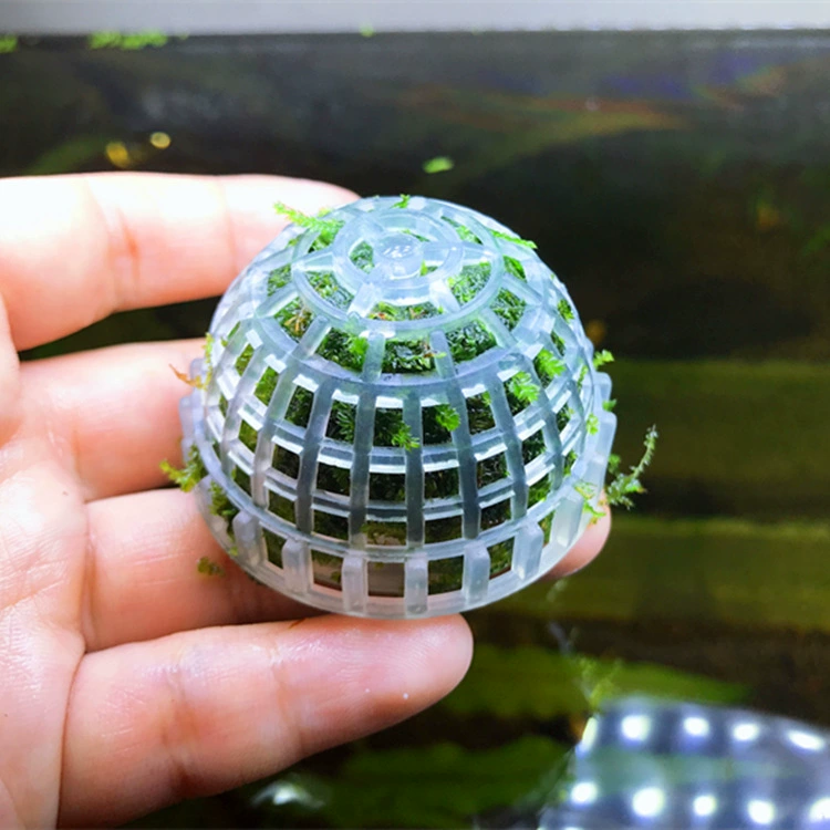 Креативная комбинация полушария MOSS Подвеска полушария MOSS Полусфера ленивая MOSS полусфера с фиксированным значением оптом