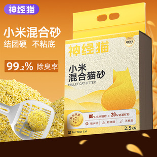 5 ���SɫС�׻��؈ɰ؈��ֲ���坍������ˮ؈ɰ����؈��Ӽ��坍