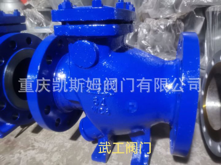 厂家供应高品质凯斯姆止回阀HH44X-16微阻缓闭止回阀