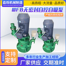 WFB无密封自控自吸泵 铸铁/不锈钢污水泵无密封自吸泵