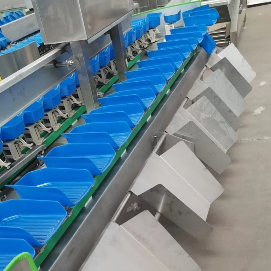 2025-05-26 08:50:06.jpg