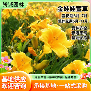 ����������޸������Sɫ����؏�15-20�30-60ϲ��ͺ��������l