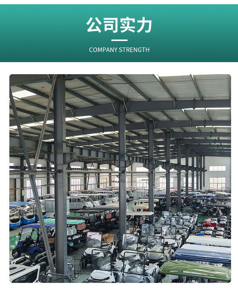 Golf Carts for Export: 2-Seater, 4-Seater, 6-Seater, 8-Seater Electric Golf Carts for Tourist Attractions, Amusement Parks, and Private Properties