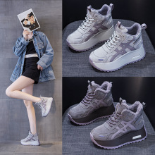 СӺϵЬŮ2025＾¿߾Weٴ\ŮЬ