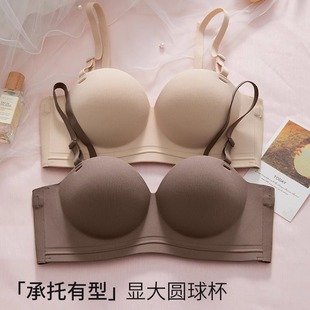 �A��뱭С�ؾ۔n�@�����؟o�����w���з��´��ո������Ů2025��
