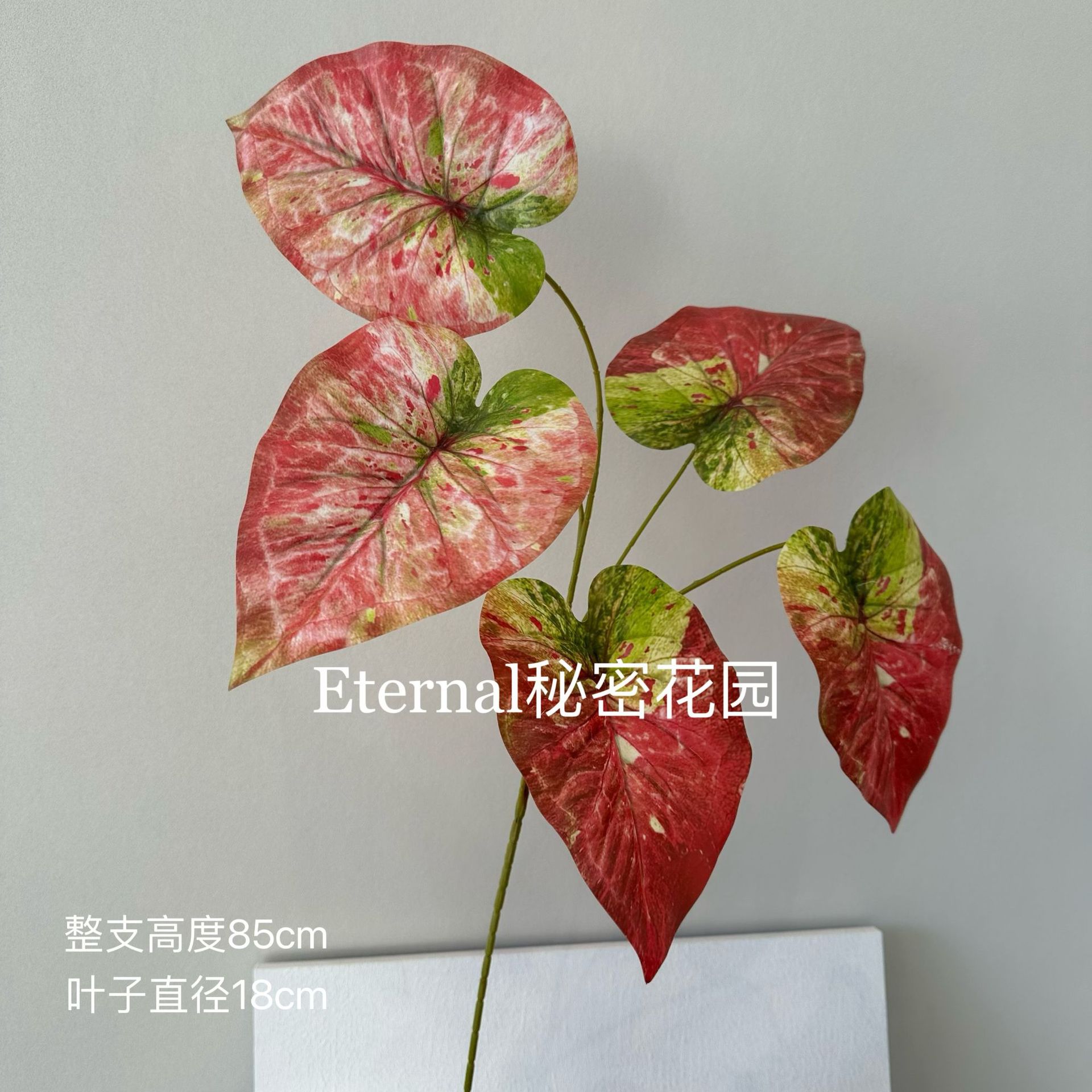 큰 사이즈 차이위엽