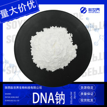 98%DNA钠 化妆品原料多聚脱氧核糖核苷酸PDRN现货量大价优DNA钠