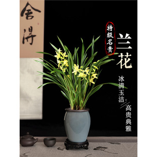 �m�����Ԏ������������m��ֱ�N�����ļ��������F���m����ֲ���҃�