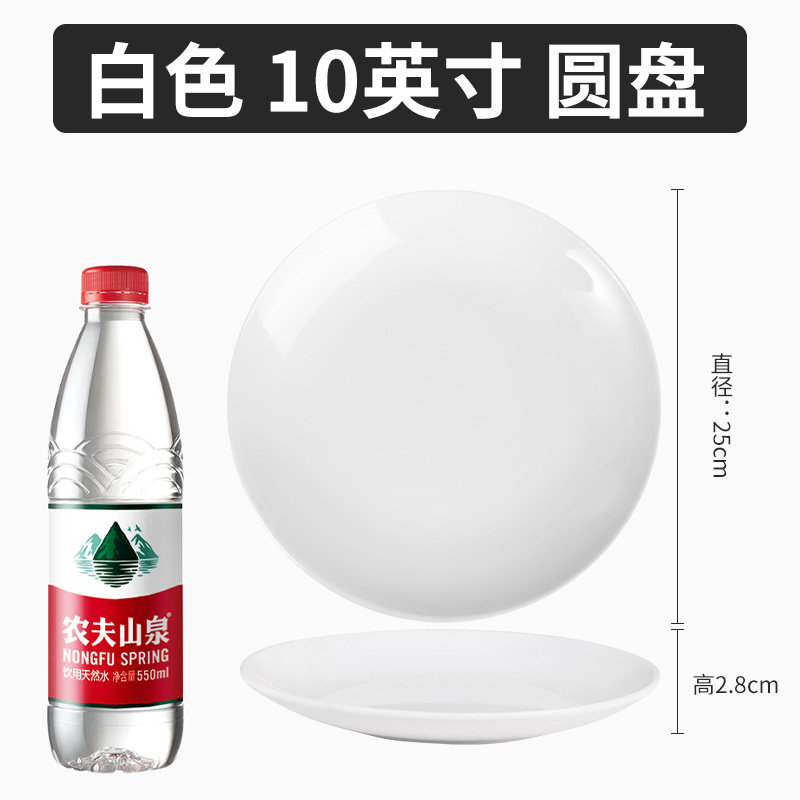 10 인치 도자기 화이트 디스크