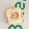Toast hood [only hood]