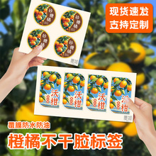 ���SԴ�^�F؛���ٳ��ˮ�������z�N�����а��b���b˺�