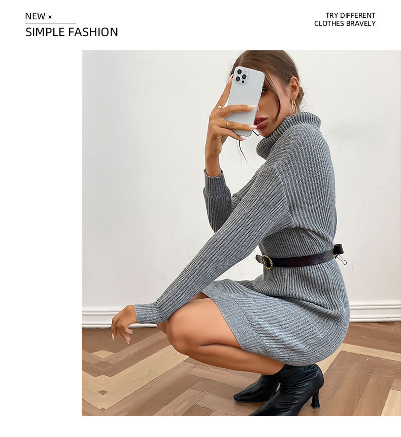 Gray Long-Sleeved Turtleneck Sweater Dress NSYYF105864