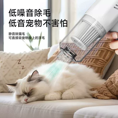 Tozsoranlar blower, rechargeable, all-in-one vacuum and blower