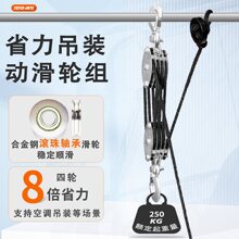 TOYOINTL8倍省力吊装动滑轮组 轴承款手拉滑轮钩空调吊装提拉